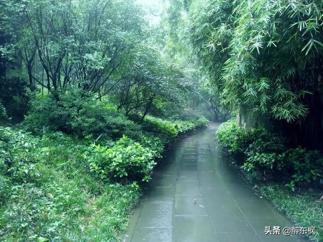 春夜喜雨的古诗，春夜喜雨的八句诗（杜甫的《春夜喜雨》）