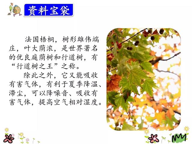 金黄的什么填词语，金黄的什么填空（部编版三年级语文上册第5课《铺满金色巴掌的水泥道》图文讲解）