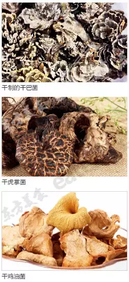 火锅菌菇汤详细教学，菌汤火锅需要用到几种菌类呢