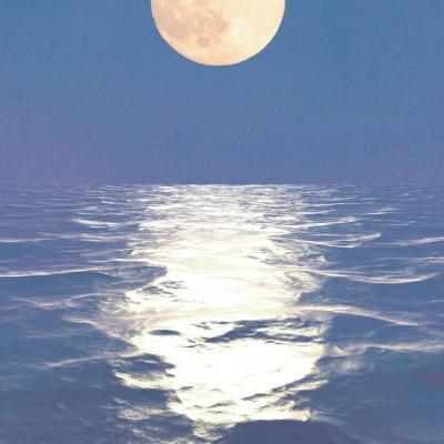 2018最新的微信昵称          佛系小可爱网名，2018最新的微信昵称          佛系小可爱微信昵称（无欲无求女生佛系网名随缘-可爱点）