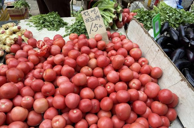 辽宁最穷十大城市排名，辽宁最穷的五个市（本溪、铁岭、阜新谁能在2019翻盘呢）