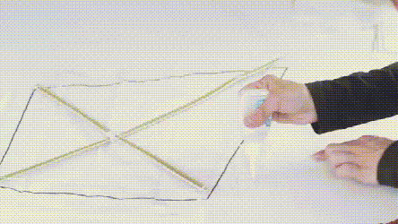 放风筝的三个基本步骤，放风筝的三个基本步骤过程（妈妈别插手让爸爸来）