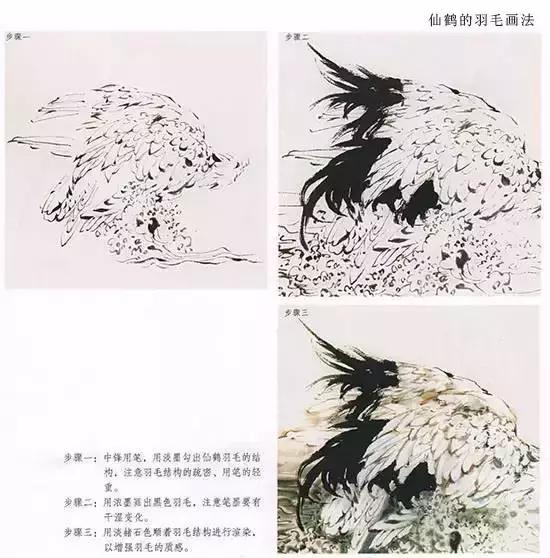 詹仁左写意鸟的画法，国画教程：写意仙鹤画法