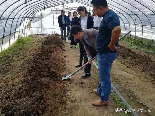 创业投资项目(项目投资实施方案及未来收益报告)