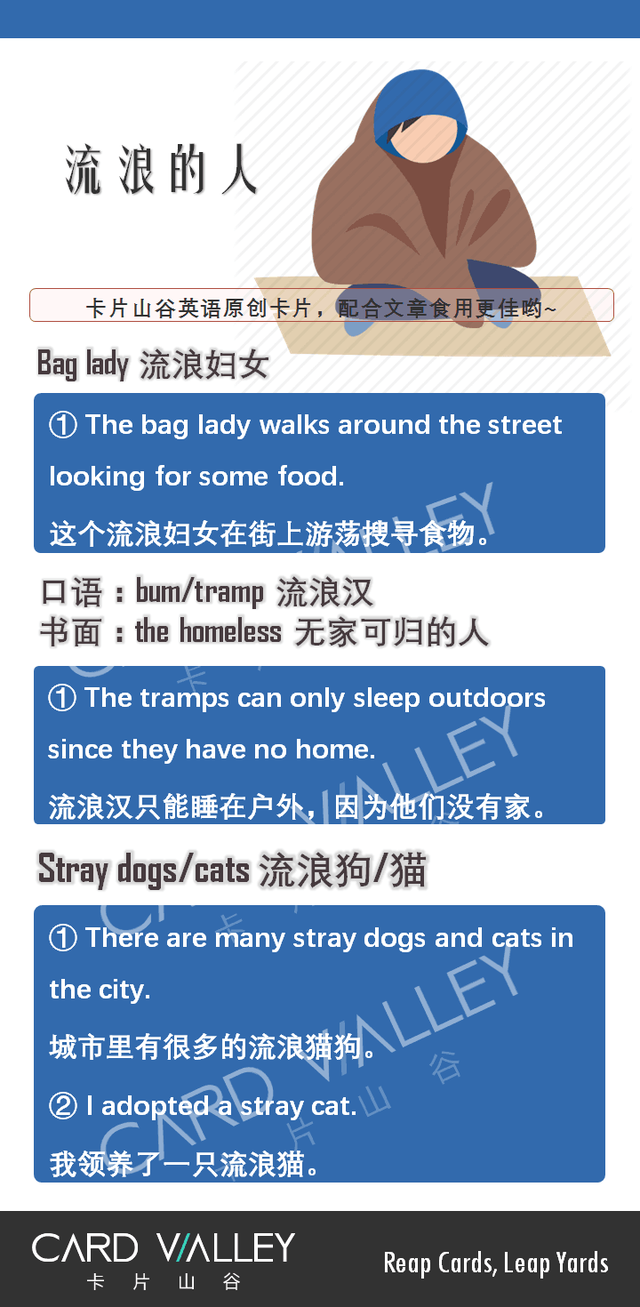 bag是什么意思，schoolbag是什么意思（lady”别以为是“挎着包的优雅女士”啊）