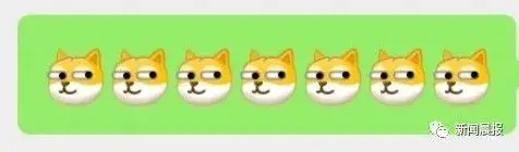 旺柴是什么意思，微信新增10款表情包