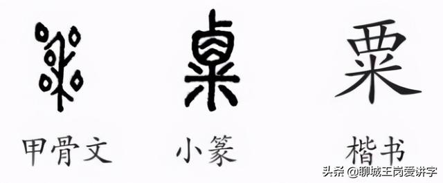 栗米是什么，栗米是什么本（“粟”和“栗”各指什么）