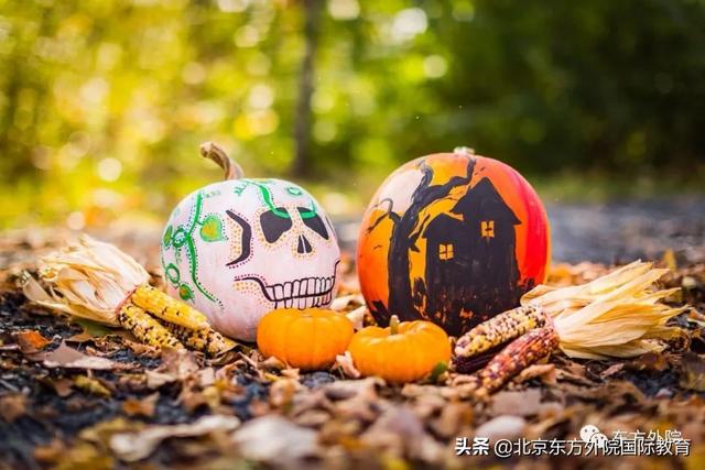 万圣节快乐用英语怎么说，万圣节快乐用英语怎么说merry christmas（scherzetto）