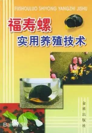 福寿螺到底能不能吃，福寿螺可以吃吗（福寿螺到底能不能吃）