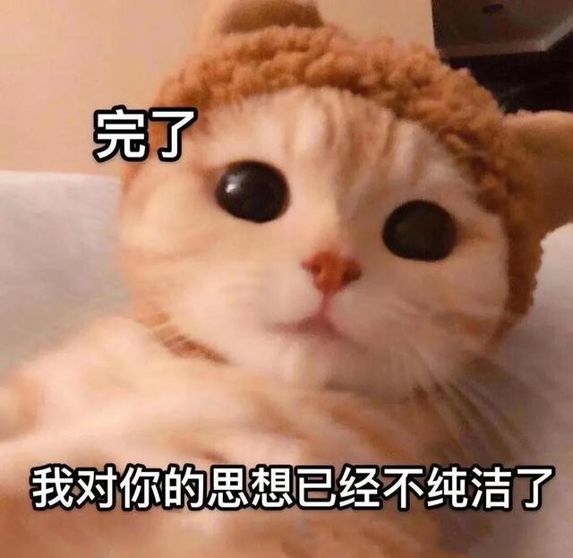 一对可爱狗狗表情包图集，情侣专用狗狗猫猫可可爱爱沙雕表情包