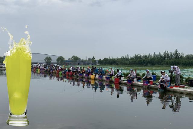 果酸是什么，果酸是什么哪里有卖（钓鱼果酸的分类和作用详解）