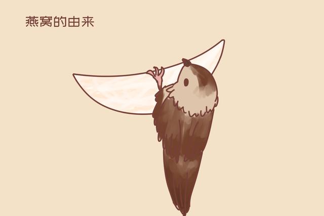 孕妇燕窝怎么买，孕妇买什么牌子燕窝（孕妈别交“智商税”）