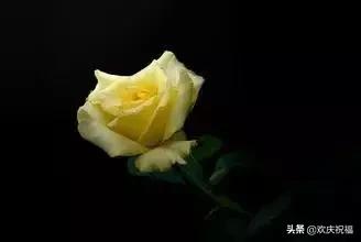 七月七日是情人节吗,每个月十四号都是什么情人节(今天是7月7日情人节) 七月七日是情人节吗,每个月十四号都是什么情人节(今天是7月7日情人节)