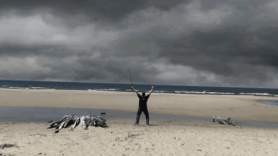 鹧鸪哨怎么断手，鹧鸪哨拜师时多大了（《鬼吹灯》编年史：老胡的时代）