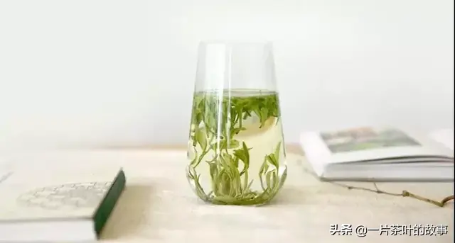 黑茶属于什么茶，湖南安化黑茶属于什么茶（黑茶与其他茶有何不同）
