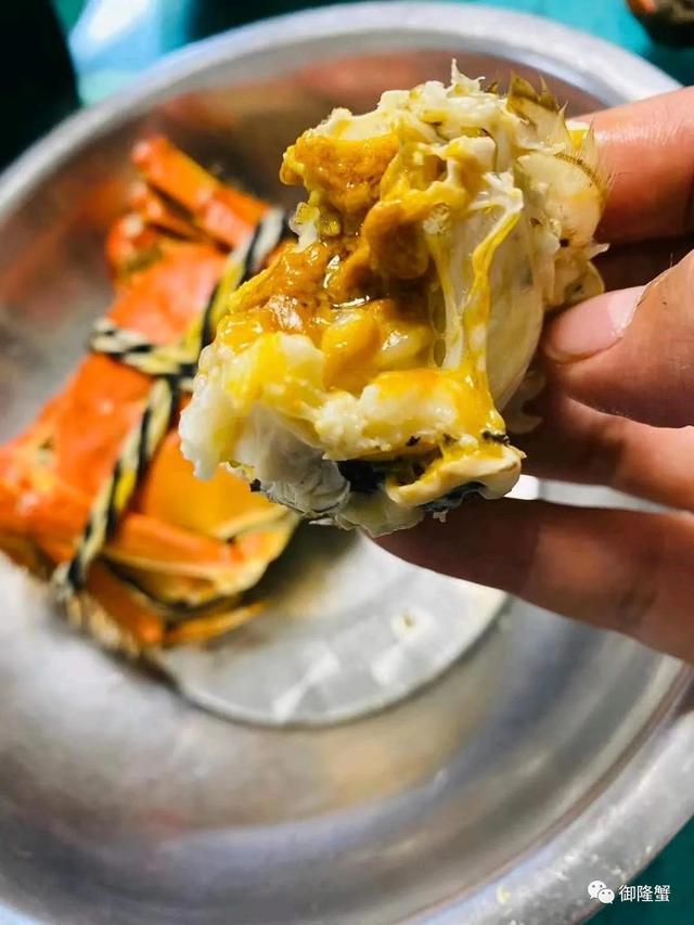 螃蟹什么时候最肥，螃蟹最肥的季节是几月份（几月是螃蟹最肥的时候）