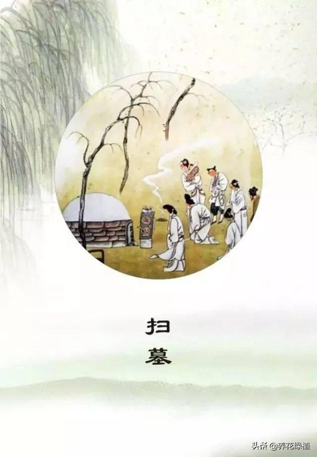 清明祭祀的禁忌，清明祭祀的禁忌有哪些（你知道在扫墓祭祖传统习俗中）