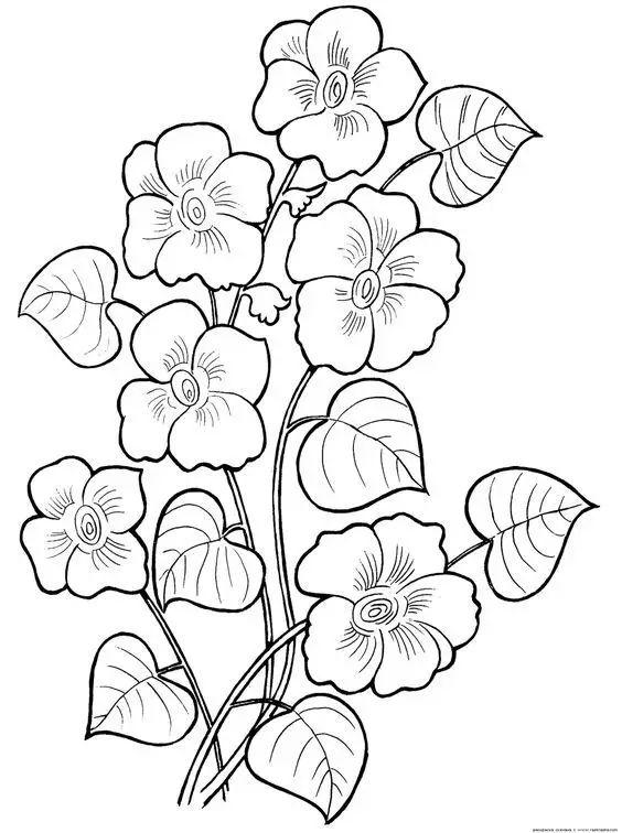 简单的花怎么画，如何画小花花简笔画（一朵花，简单的几笔就可以了）
