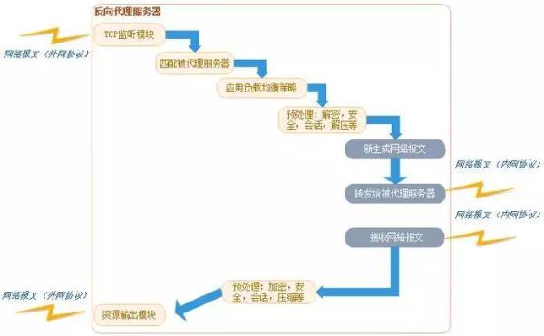 英文域名51web，web3.0的网页规范（Web应用程序服务器与反向代理）