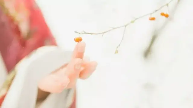 星河滚烫你是人间理想什么意思，星河滚烫你是人间理想是什么意思（星河滚烫，你是人间理想）