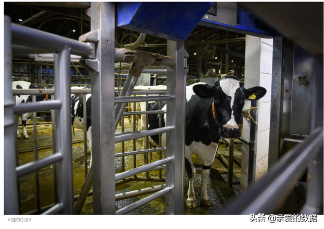 银鹭花生牛奶保质期多久，银鹭花生牛奶的保质期是多长时间（传感器、可穿戴设备、业务中台、智能供应链）