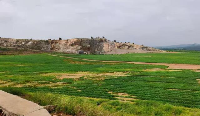 带领团队发展的句子，带领团队共同进步的句子（砥砺前行；担当青年新使命）