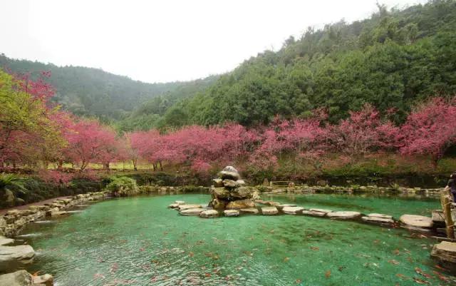 日月潭图片全景，日月潭攻略（南北形合日月潭）