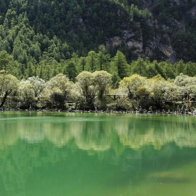 稻城在哪，亚丁稻城在哪（在稻城亚丁，满载一身春色而归）