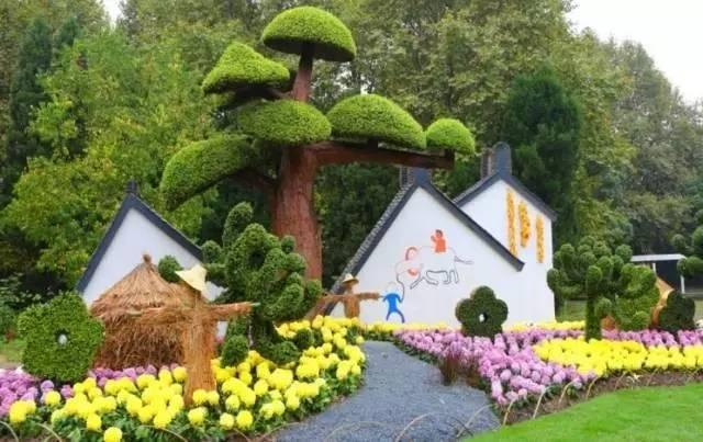 老花镜怎么配，老花镜要去配还是直接买就行（花境植物的配置与养护技巧）