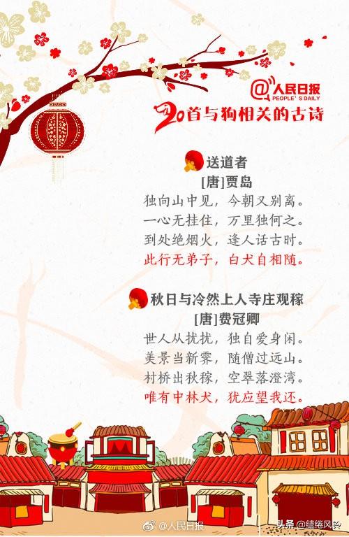 带鸟名的诗句，带鸟名的诗句飞花令（《人民日报》推荐20首与狗相关的古诗）