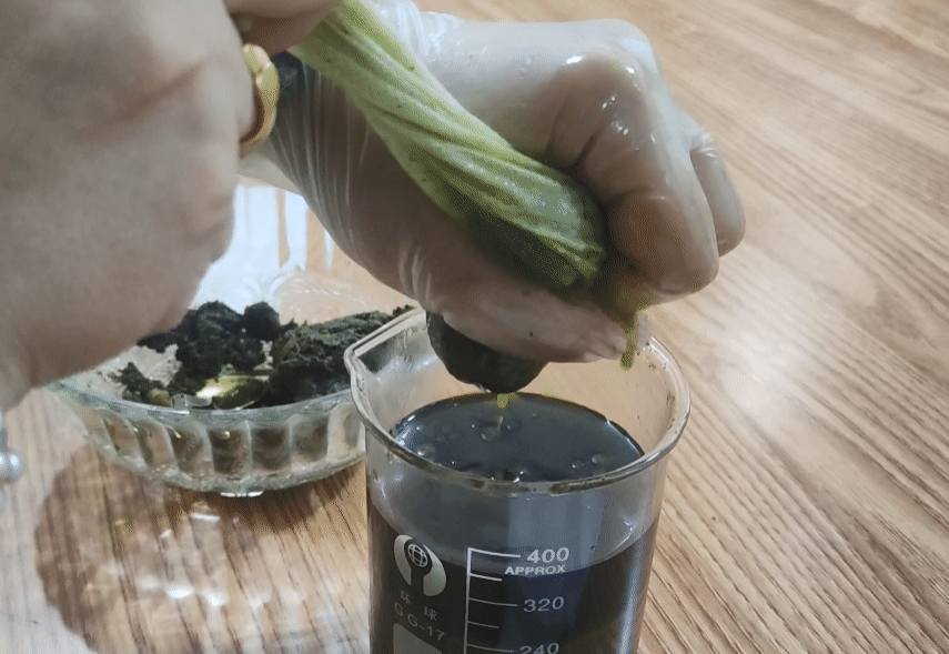 如何在家自己做艾草膏，教你制作无添加艾草薄荷膏