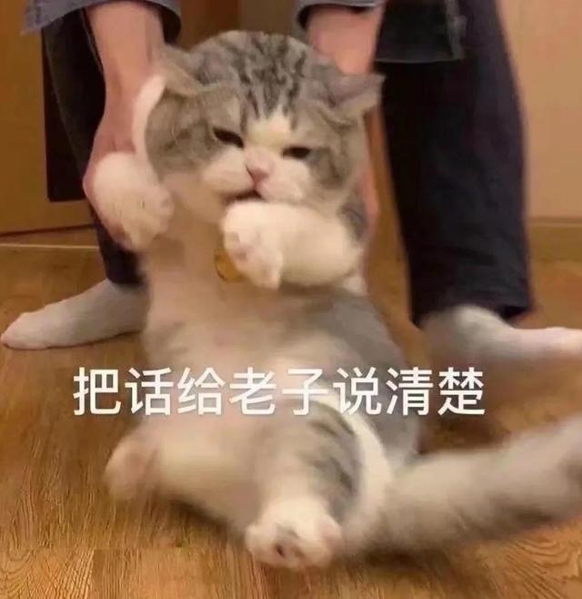 一对可爱狗狗表情包图集，情侣专用狗狗猫猫可可爱爱沙雕表情包