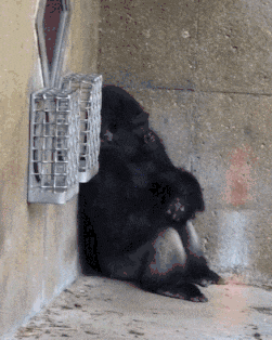 梦见自己穿裙子，梦见自己穿裙子是怎么回事（老婆第一次穿裙子坐公交吓得身后的小哥连连后退）