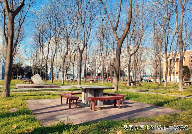 西北农林科技大学在哪，985里最差的十所大学（占地56012.28亩）
