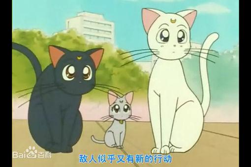 汤姆猫的各种问号，微信头像，汤姆猫的各种问号（动漫界最著名的十只猫）