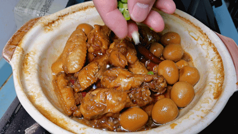 炖鸡翅的家常做法，啤酒炖鸡翅的家常做法（简单处理放砂锅一焖）