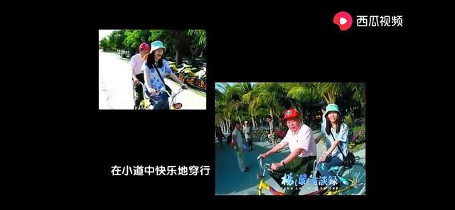 翁帆为什么嫁给杨振宁天涯八卦网，翁帆为何要嫁给杨振宁