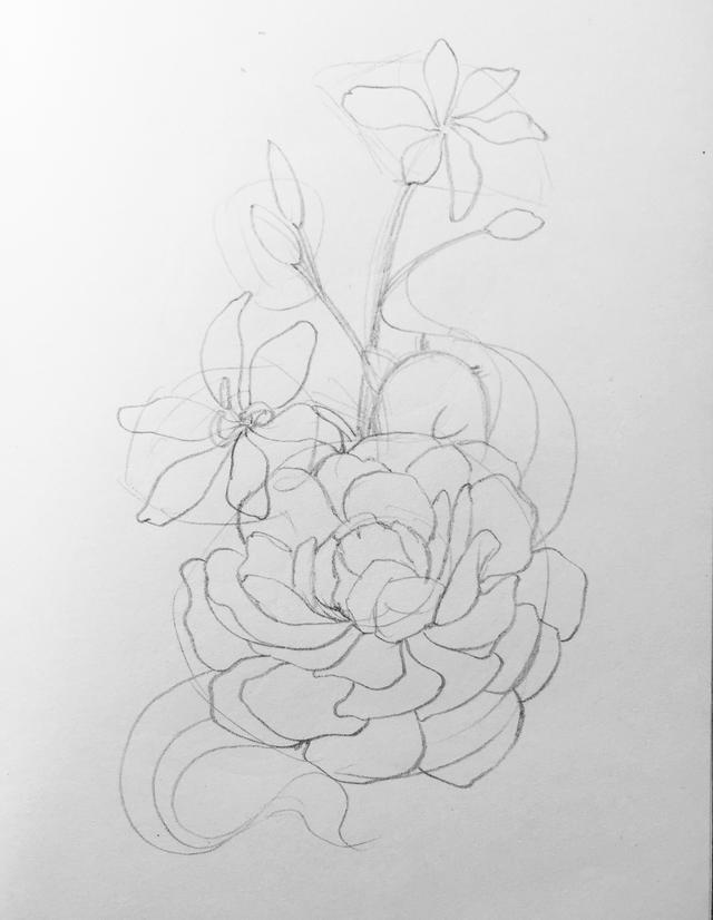 初学画画如何入门，画画入门初学技巧（好看的入门简笔画）