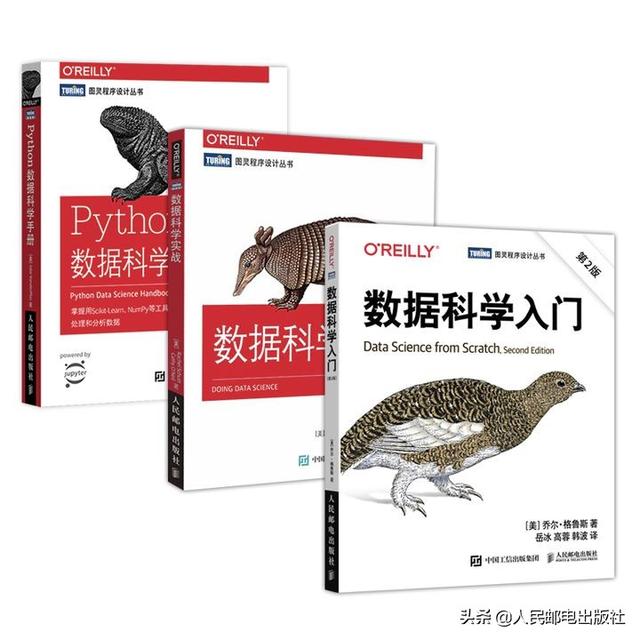 统计师有用吗，统计师有啥用（全能型数据科学人才应该具备什么能力）