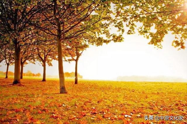 秋分的意思，秋色宜人的意思（俗话说“白露秋分夜）