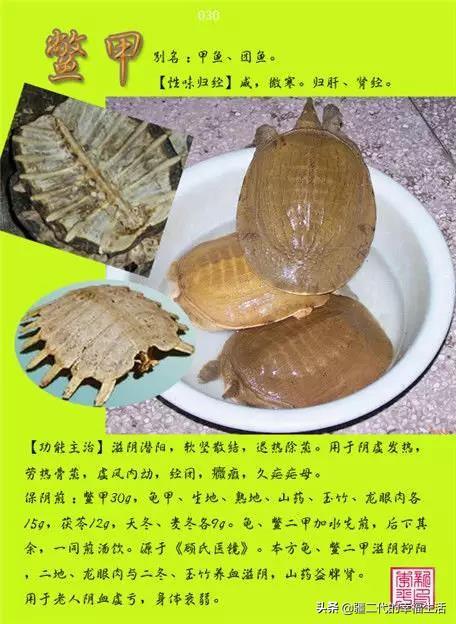 常见中草药图谱，中草药经典图谱（让你知道常用药都长啥样）