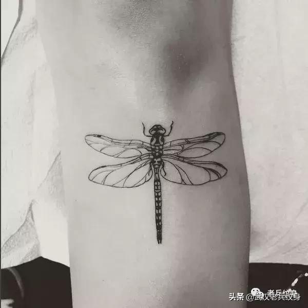 纹身各种图案及含义，纹身图案及其含义（弄懂这些图案背后的意思）