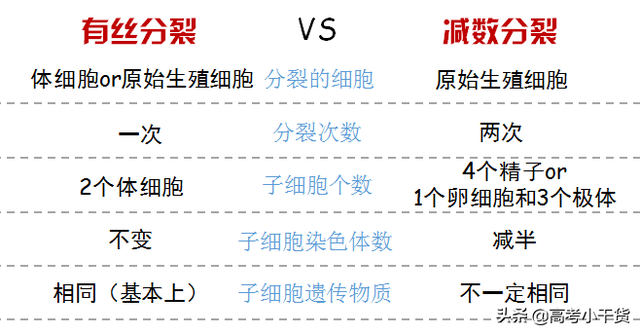 什么是基因的遗传信息，什么是基因的遗传信息传递（<基因、遗传篇>建议收藏）