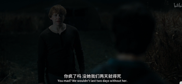 哈利为什么不能娶赫敏，赫敏最后恢复了父母的记忆吗（哈利波特为何没有跟赫敏在一起）