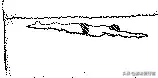 正确的泳姿切换方法，各种泳姿转身的特点和规则