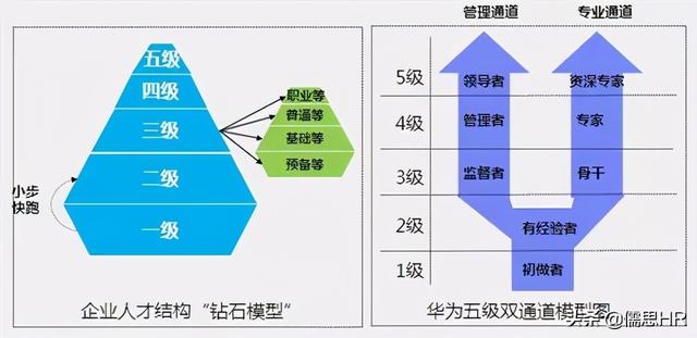 员工发展包括，员工发展包括哪些方面（6个步骤设计员工职业发展通道）