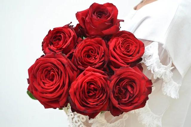 各种玫瑰花的含义，各色的玫瑰花有什么含意（一篇文章认全花店必备80种玫瑰花）