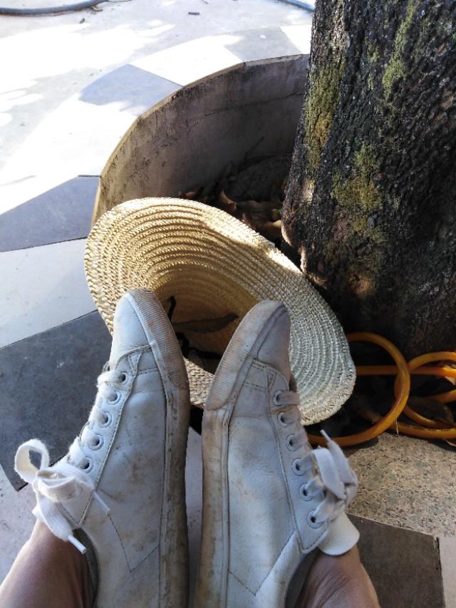 趁机和乘机的区别，借机的近义词（小学三年级上期语文复习重点）