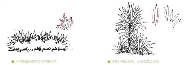 超简单风景速写入门初学者，适合初学者学习的速写中植物配景的画法图解教程