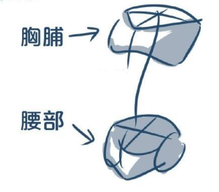 画人全身怎么画简单，超详细的身体绘制画法教程（画人全身怎么画简单古风）
